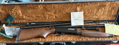 IMG_8766.jpeg IMG_8766.jpeg