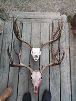 1000004694.jpg 1000004694.jpg