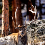 BACD923F-1570-4844-9C9F-9E402E410C29.jpeg BACD923F-1570-4844-9C9F-9E402E410C29.jpeg