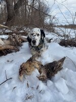 IMG_1121.jpeg IMG_1121.jpeg