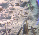 1771299687116.png 1771299687116.png