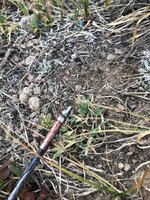 62251454633__80098341-66D9-49AE-B827-13E3CE1AB348.jpeg 62251454633__80098341-66D9-49AE-B827-13E3CE1AB348.jpeg