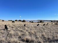 IMG_8166.jpeg IMG_8166.jpeg