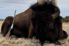 IMG-20260213-WA0034-EDIT (1).jpg IMG-20260213-WA0034-EDIT (1).jpg