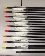 IMG_0101.jpeg IMG_0101.jpeg