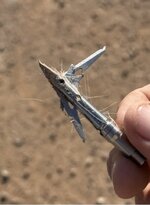 2026.SEVR.JPG resize.JPG