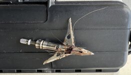 2025.SEVR 1.75.JPG resize.JPG