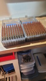 20260219_170333.jpg 20260219_170333.jpg