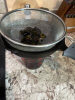 IMG_8319.jpeg IMG_8319.jpeg