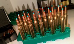 PXL_20260218_034159259~2.jpg PXL_20260218_034159259~2.jpg