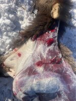 IMG_7167.jpeg IMG_7167.jpeg