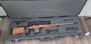 20260131_161805.jpg 20260131_161805.jpg