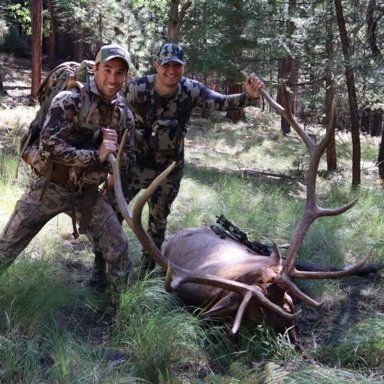 Barrie Archery Rocky Mountain Broadheads Snyper Xp3 100 Grn Bow Hunting Deer Elk