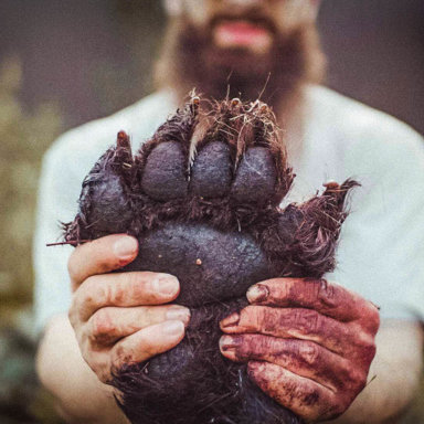 Bear Backstrap, what a Treat!