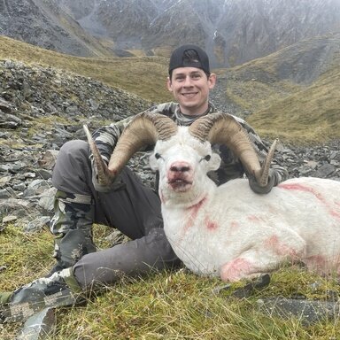 starting research on Dall sheep outfitters Rokslide Forum