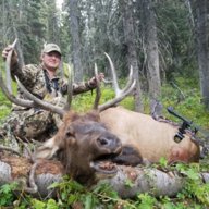 Coloradoantelope