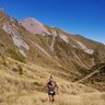 Daggers_NZ
