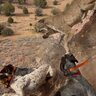 Cedarmtn