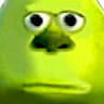 Rakun