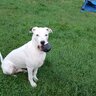 ZEKEDAWG