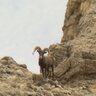HighDesertExplorer