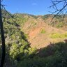 Kauaihunter