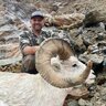 Wasatch Wapiti
