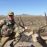 pokes15