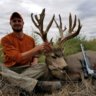 kansasmuley