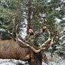 idahoelkhunter