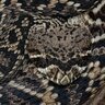 Diamondback