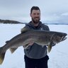 Burbot