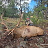 Osceola