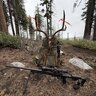 Sharpshooter_