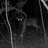 HailStateHunter