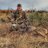 Midwest_Bowhunter83
