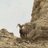 HighDesertExplorer