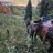 IdahoJoe29
