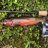 Fieldsportsman