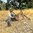 Travis_Will_Hunt