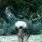 MonstroMuley