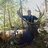 woodscall